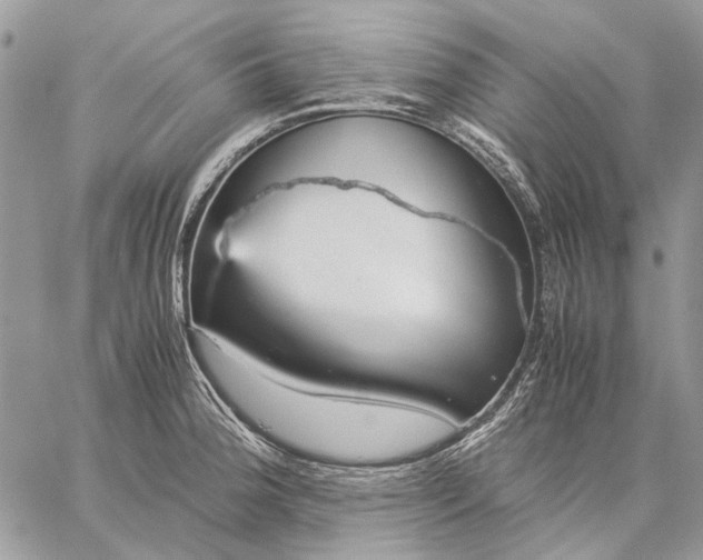 X0000059091188200510211559