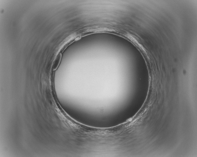 X0000059091189200510211559