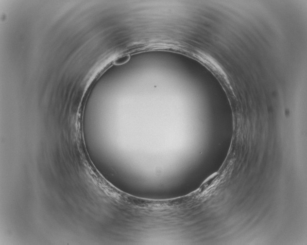 X0000059091190200510211559