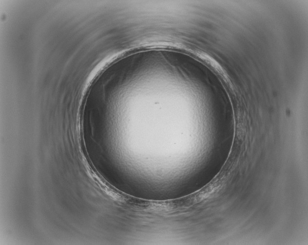 X0000059091191200510211559