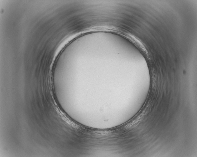 X0000059091192200510211559