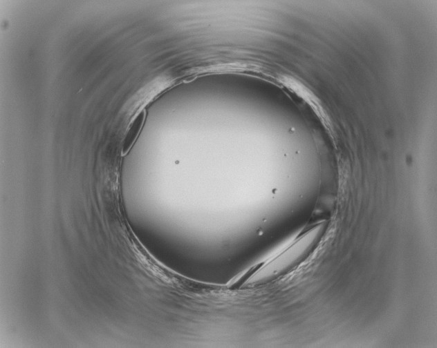 X0000059091193200510211559