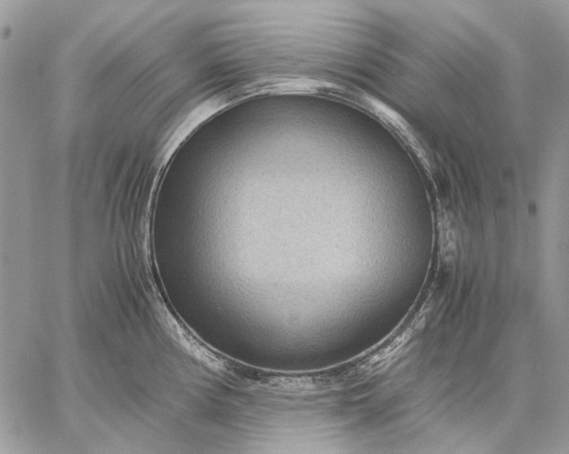 X0000059091194200510211559