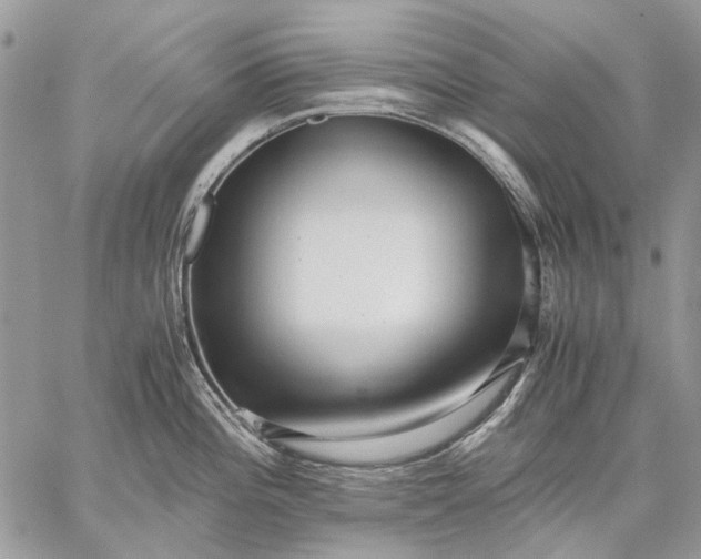 X0000059091196200510211559