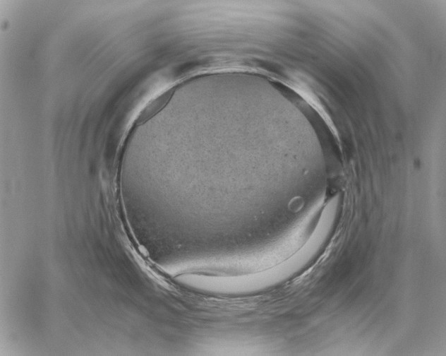 X0000059091197200510211559