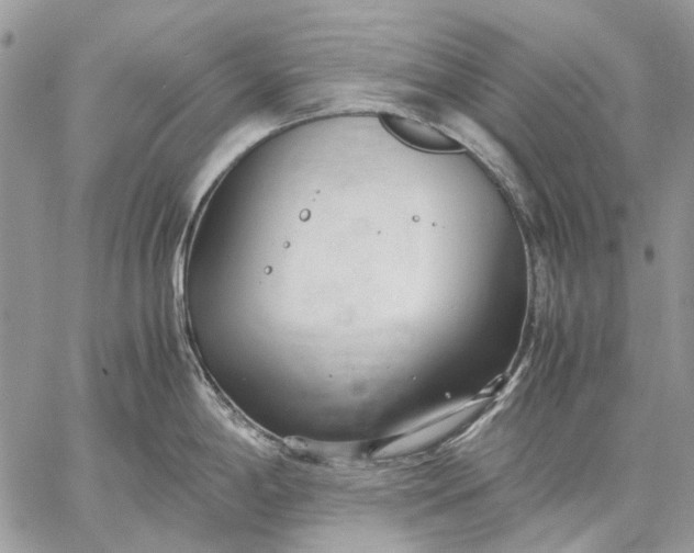 X0000059091198200510211559