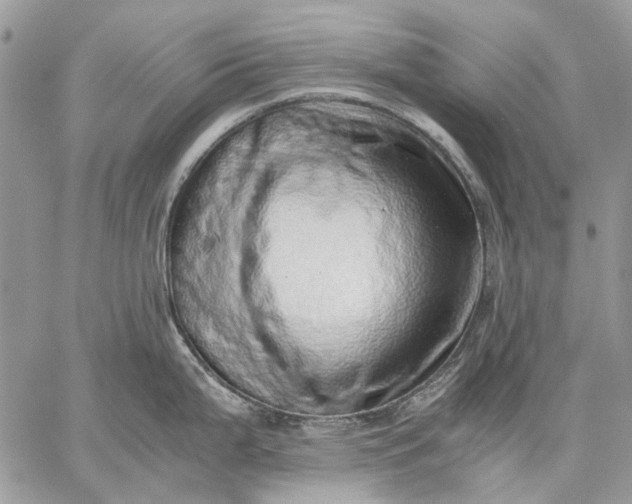 X0000059091199200510211559