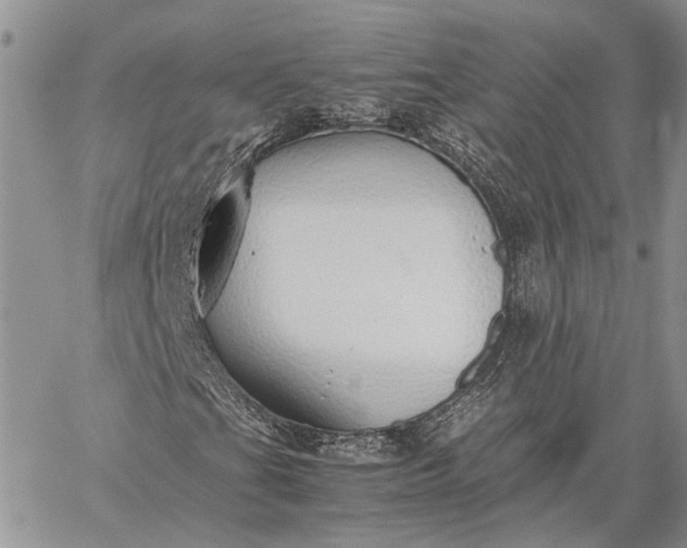 X0000059091201200510211558