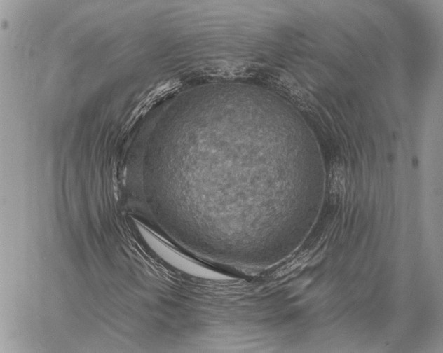 X0000059091202200510211558