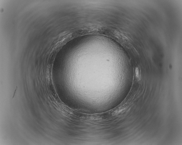 X0000059091203200510211558