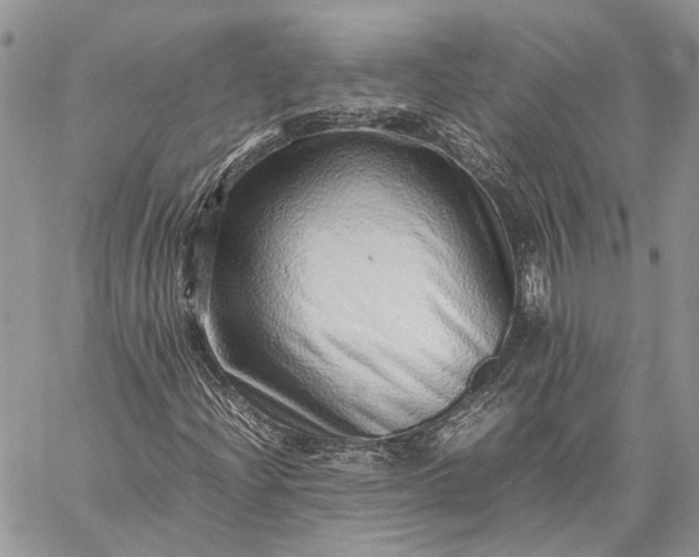 X0000059091204200510211558