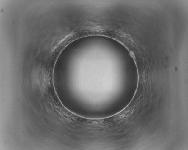 X0000059091205200510211558