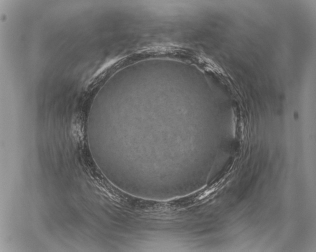 X0000059091206200510211558