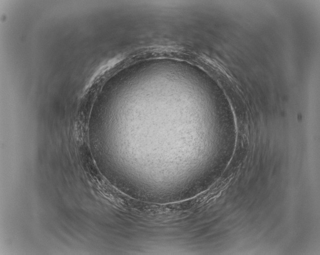 X0000059091207200510211558