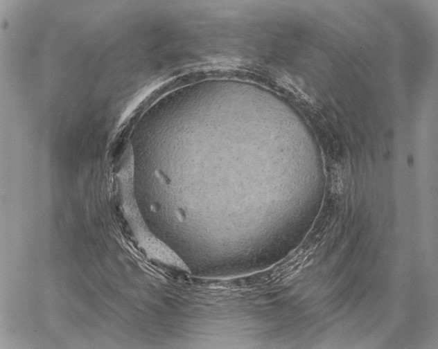 X0000059091208200510211558