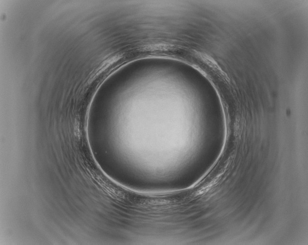 X0000059091209200510211558