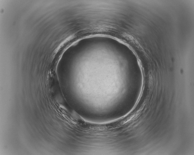 X0000059091210200510211558