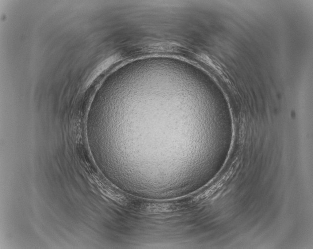 X0000059091211200510211558