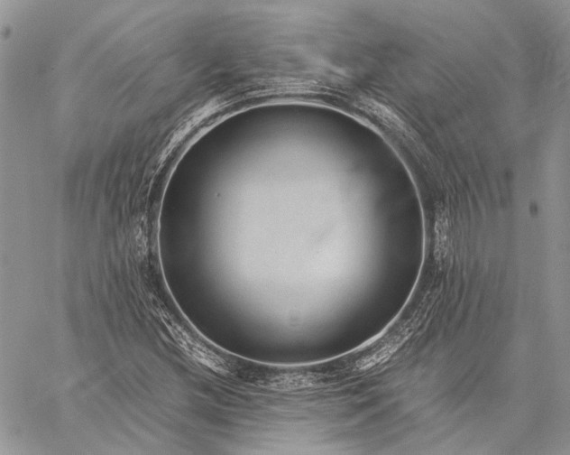 X0000059091212200510211558