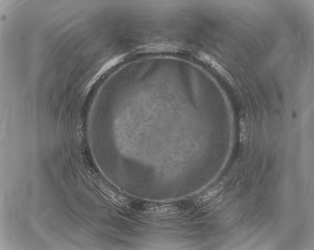 X0000059091213200510211558