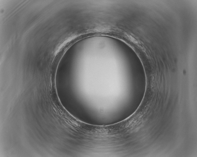 X0000059091214200510211558