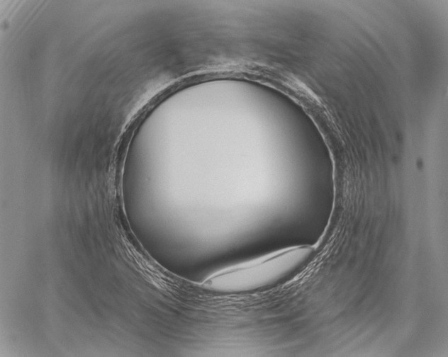 X0000059091216200510211558