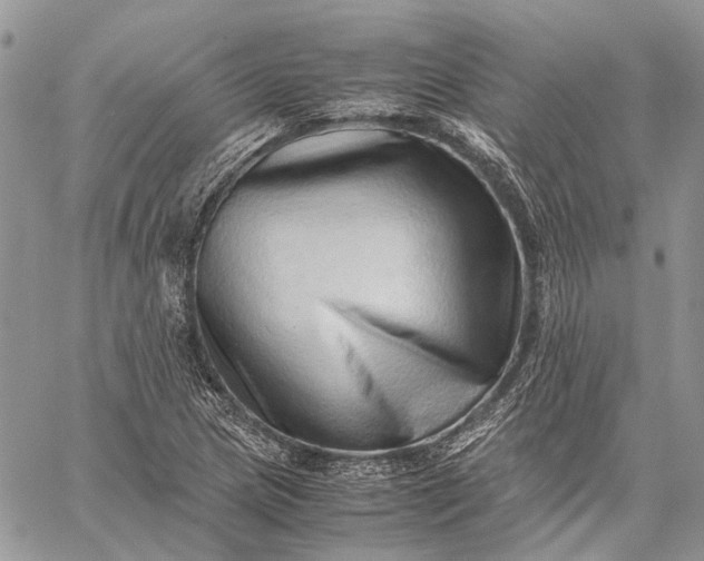 X0000059091217200510211558