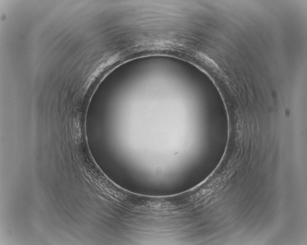 X0000059091218200510211558