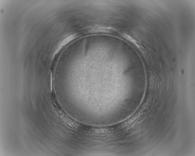 X0000059091219200510211558