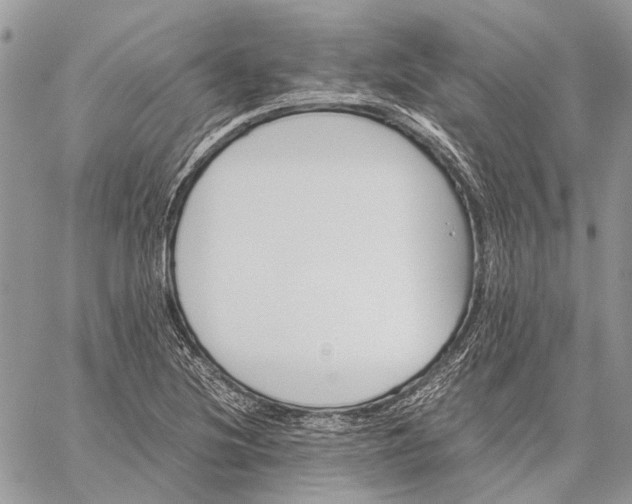 X0000059091220200510211558