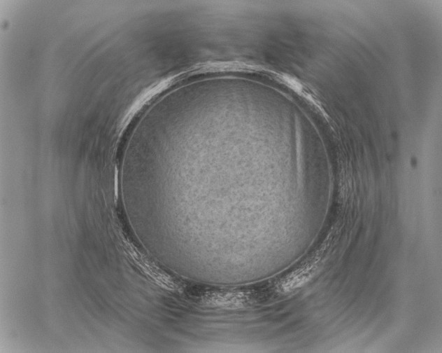 X0000059091221200510211558