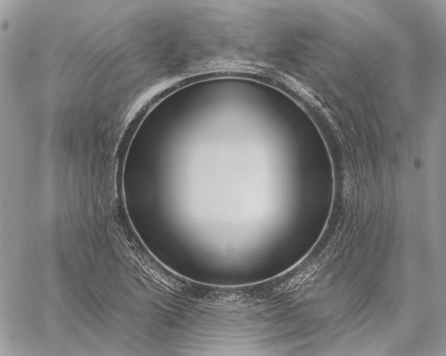 X0000059091222200510211558