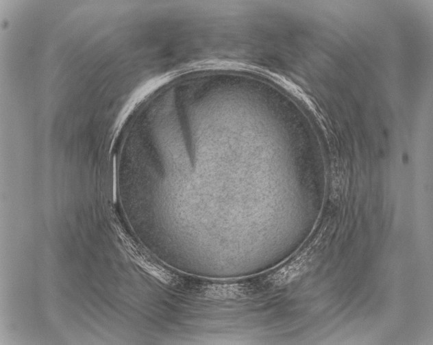 X0000059091223200510211558