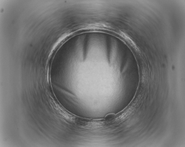 X0000059091224200510211559