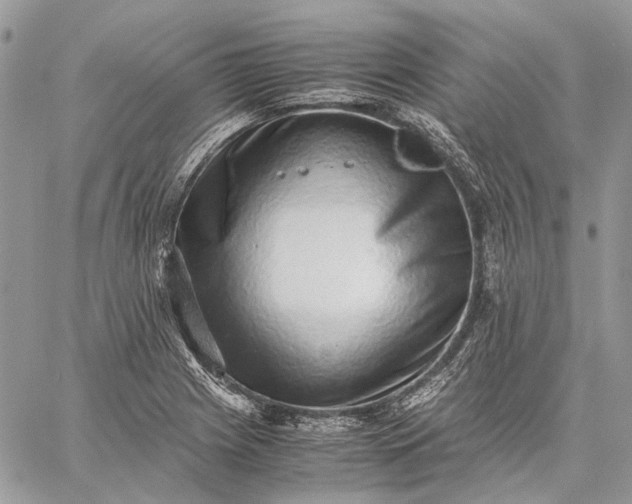 X0000059091225200510211559