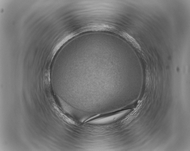 X0000059091226200510211559