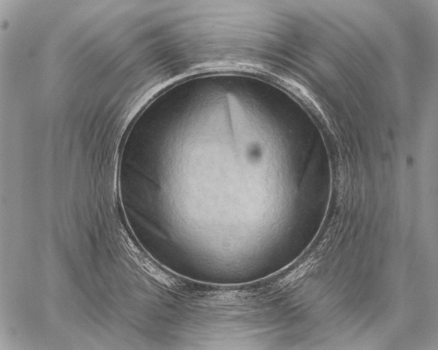 X0000059091228200510211559