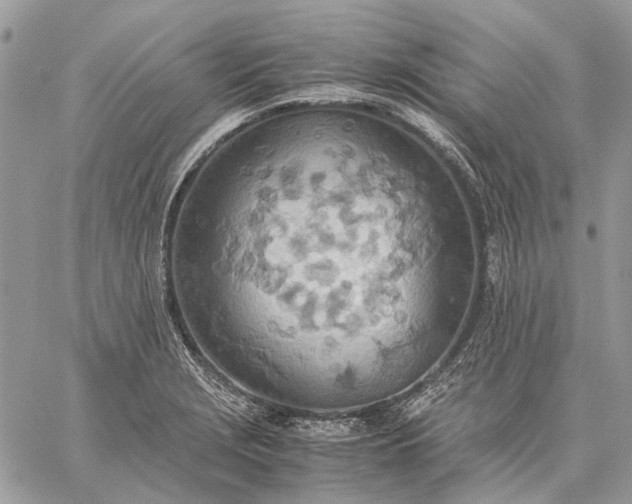 X0000059091229200510211559