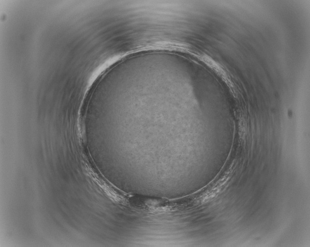 X0000059091230200510211559