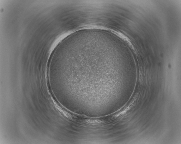 X0000059091231200510211559