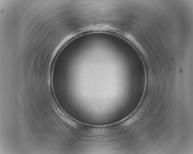 X0000059091232200510211559