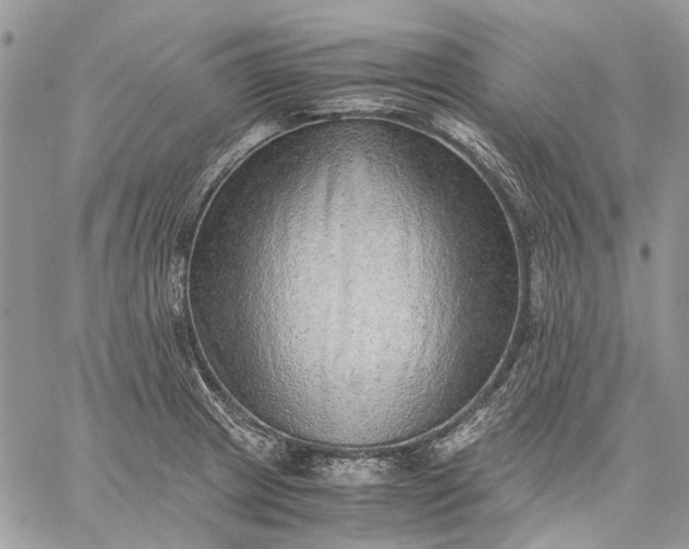 X0000059091233200510211559