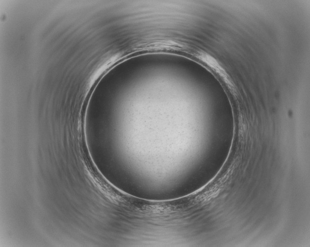 X0000059091234200510211559