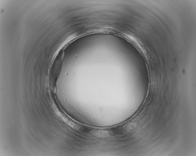 X0000059091235200510211559