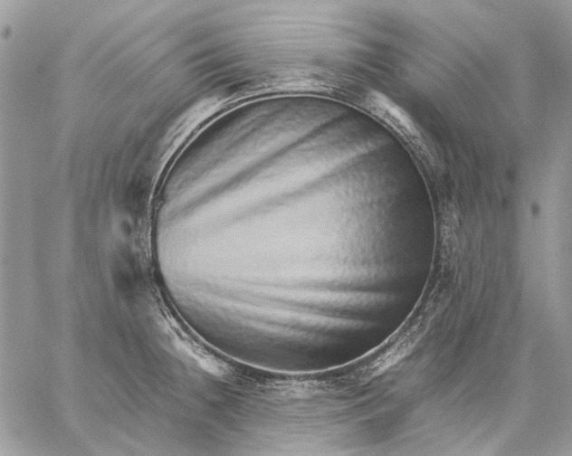 X0000059091236200510211559