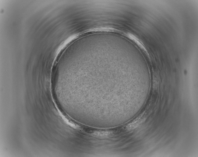 X0000059091237200510211559