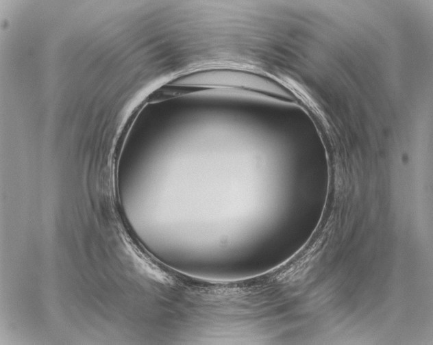 X0000059091238200510211559