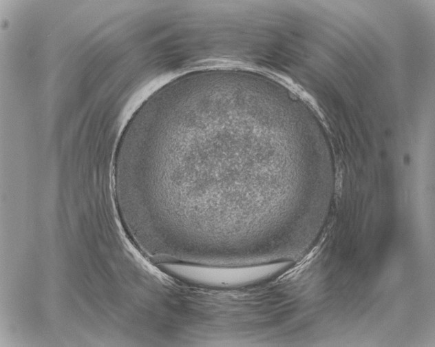 X0000059091239200510211559