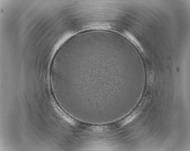 X0000059091240200510211559