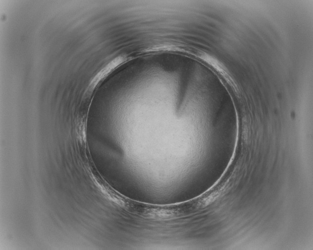 X0000059091241200510211559